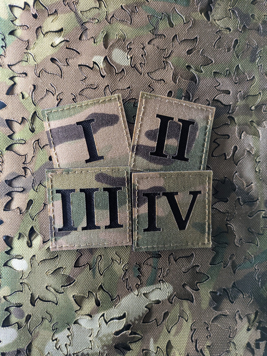 Ranger Battalion Patches